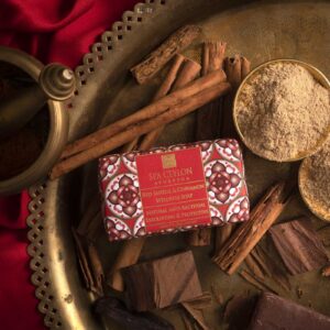Red Sandal & Cinnamon - Anti-Bakteriell Wellness Seife 100g
