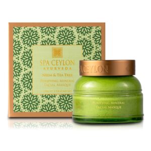 NEEM & TEEBAUM AYURVEDA - Mineralstoffreiche Tiefenreinigungsmaske mit natürlichen Tonerden für Mischhaut, fettige Haut und gegen Hautunreinheiten wie Akne, Pickel etc.